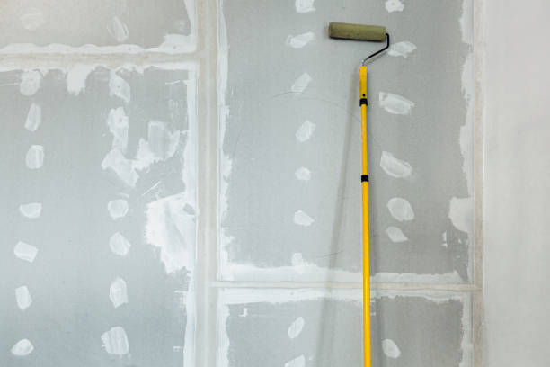 Best Mold Damage Restoration  in Lake Fenton, MI