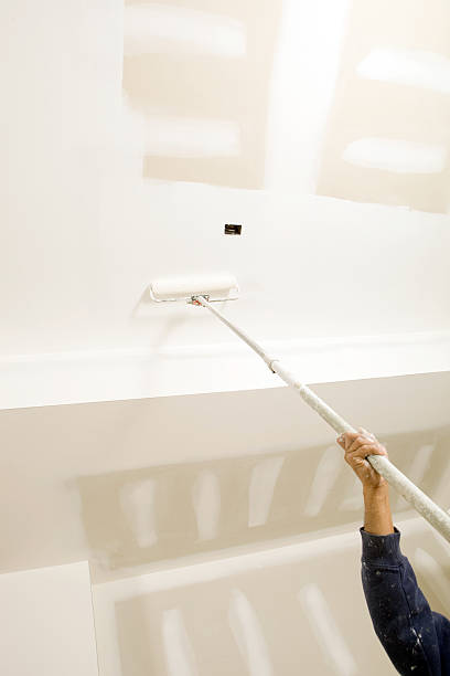 Best Mold Odor Removal Services  in Lake Fenton, MI